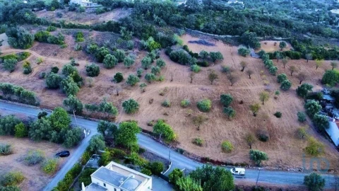 Terreno para Venda em Santa Barbara de Nexe
