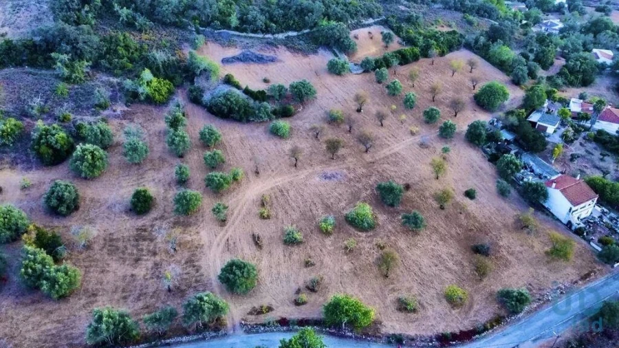 Terreno para Venda em Santa Barbara de Nexe Foto 4