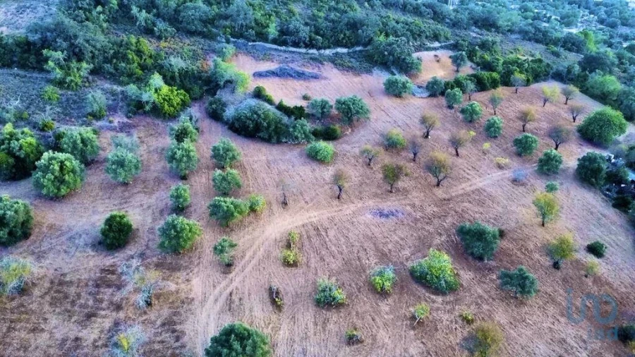 Terreno para Venda em Santa Barbara de Nexe Foto 5