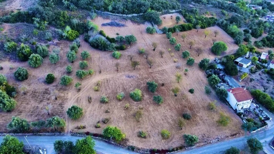 Terreno para Venda em Santa Barbara de Nexe Foto 3