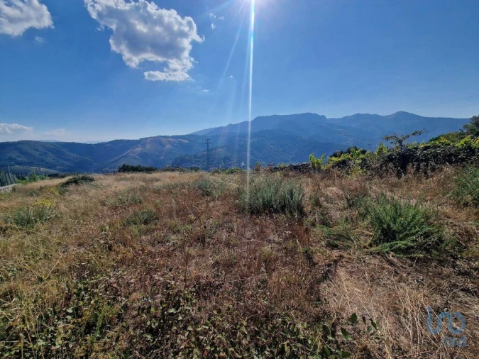 Terreno para Venda em Torgueda Foto 4