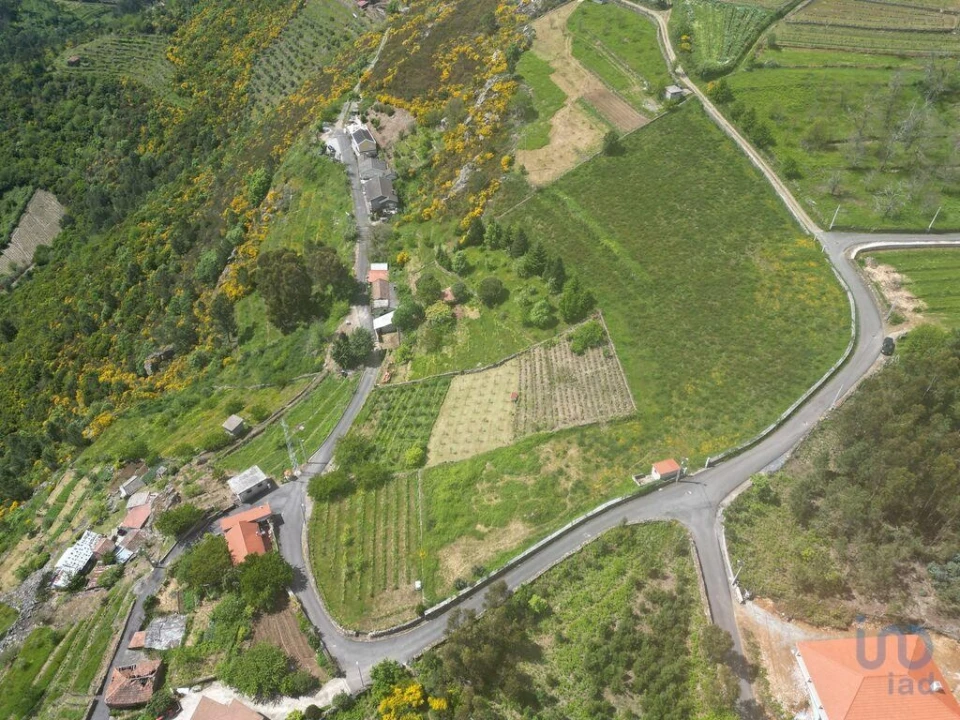 Terreno para Venda em Torgueda Foto 1
