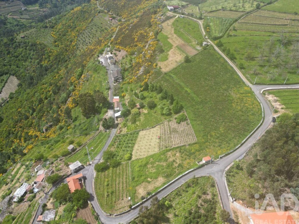 Terreno para Venda em Torgueda Foto 18