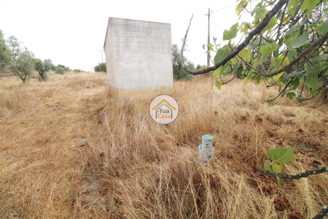 Terreno para Venda em Reguengos de Monsaraz Foto 15