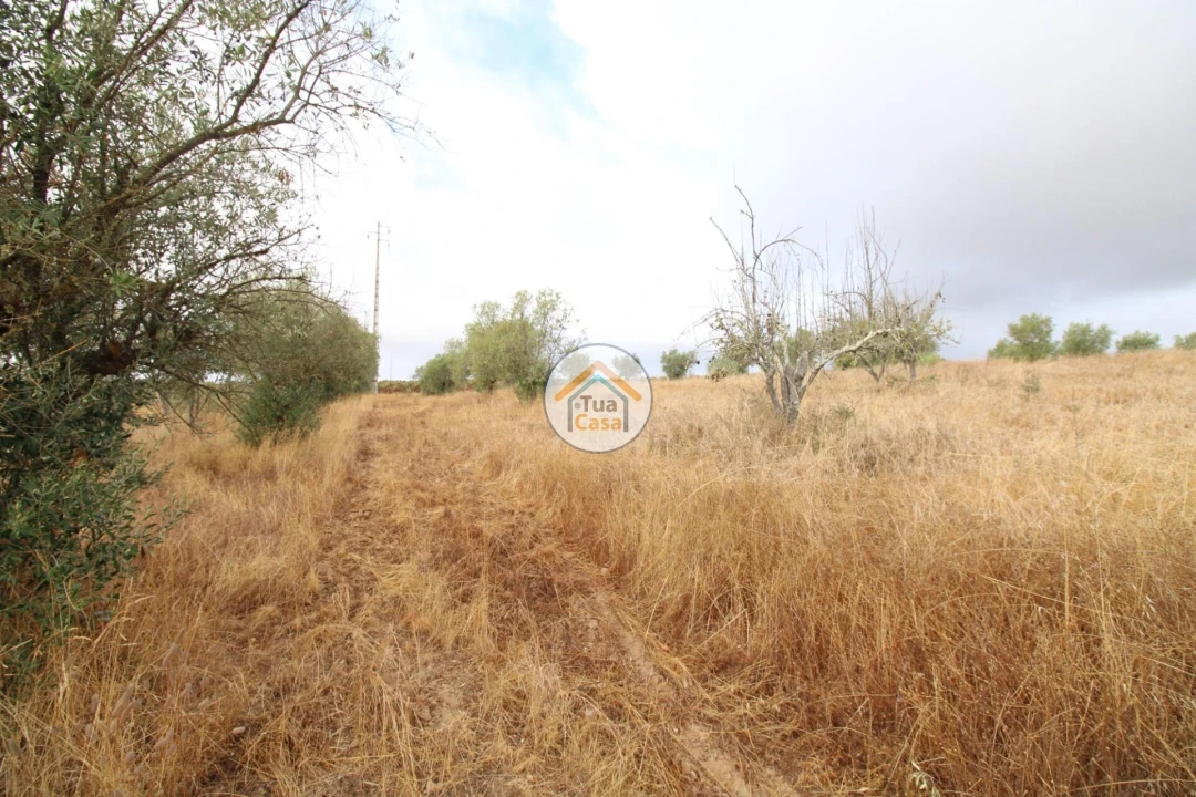 Terreno para Venda em Reguengos de Monsaraz Foto 17