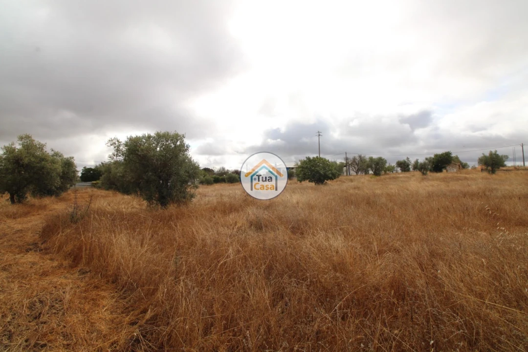 Terreno para Venda em Reguengos de Monsaraz Foto 30