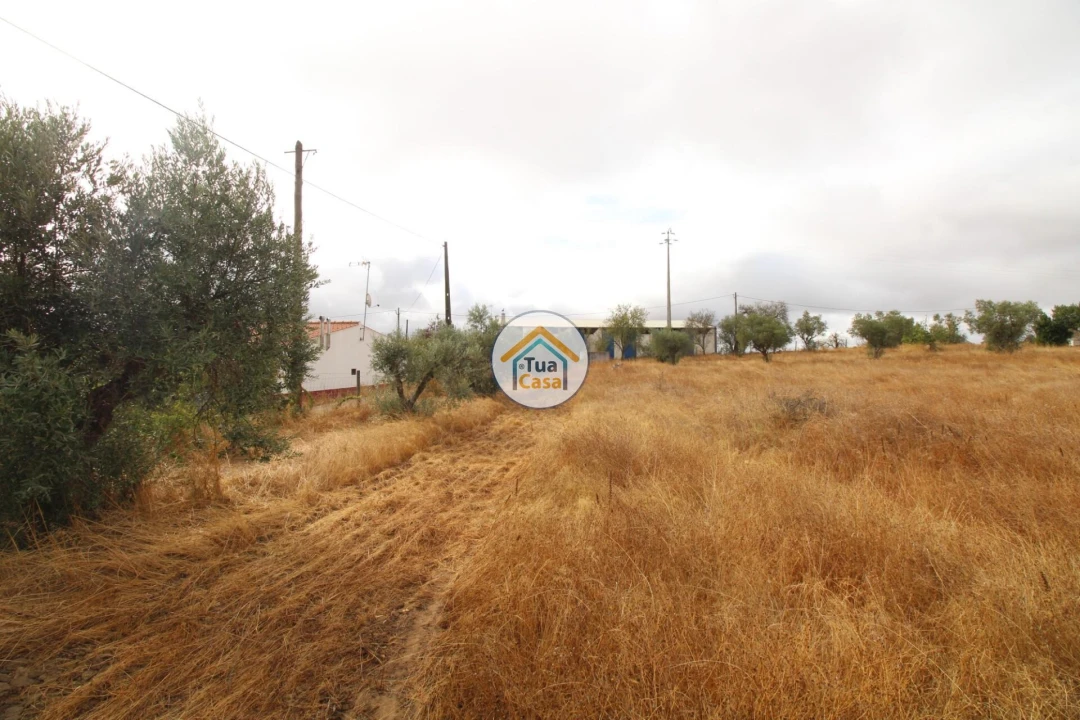 Terreno para Venda em Reguengos de Monsaraz Foto 32