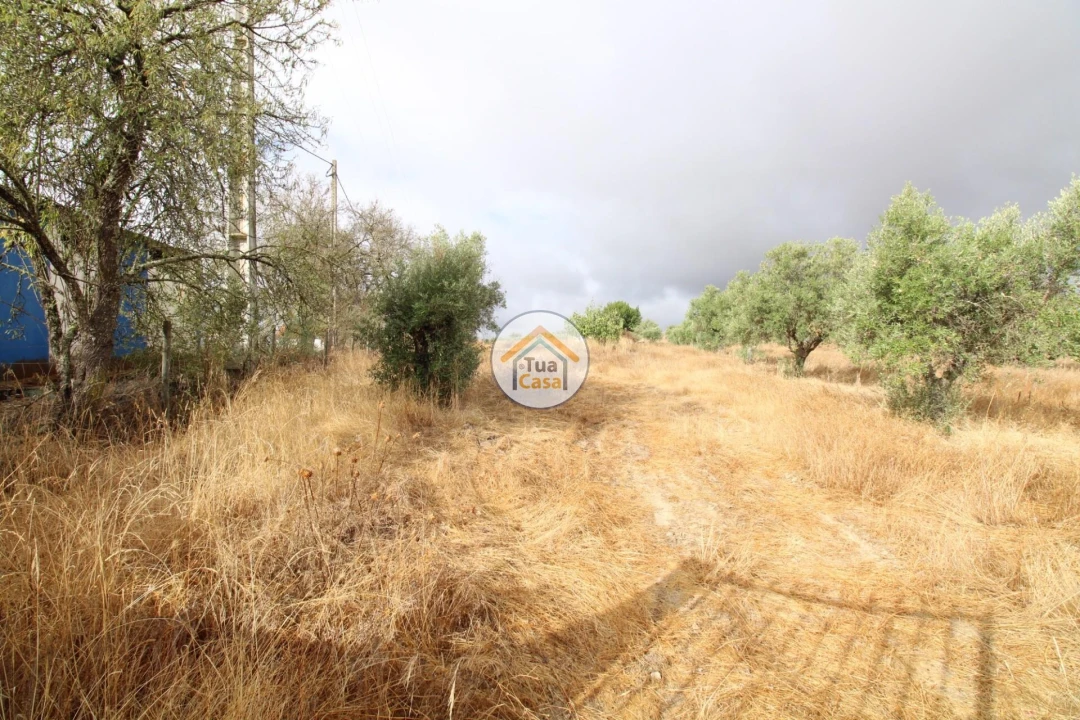 Terreno para Venda em Reguengos de Monsaraz Foto 4