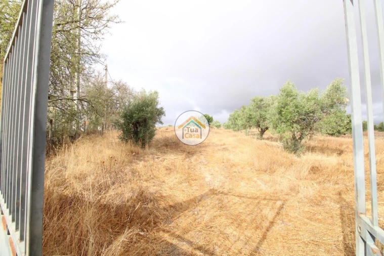 Terreno para Venda em Reguengos de Monsaraz Foto 3