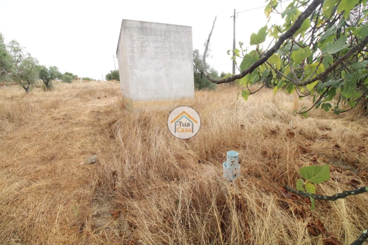 Terreno para Venda em Reguengos de Monsaraz Foto 15