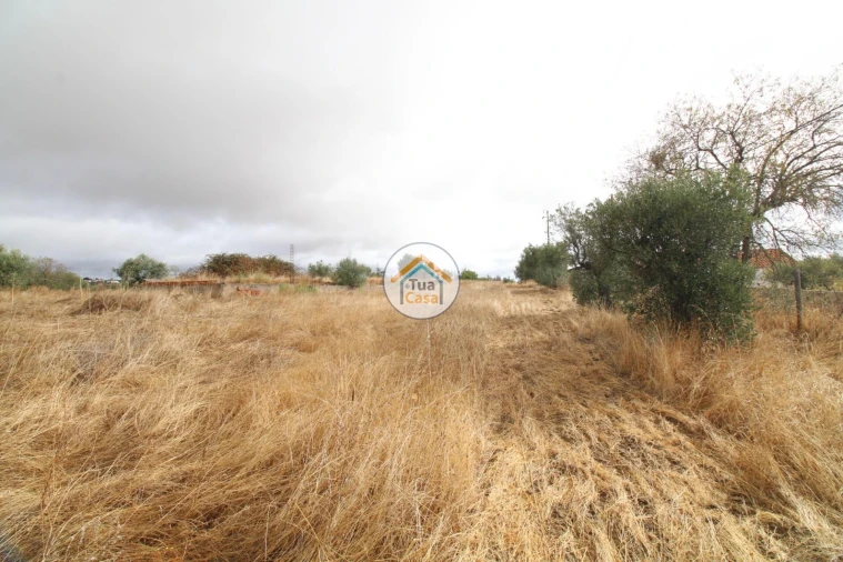 Terreno para Venda em Reguengos de Monsaraz Foto 12