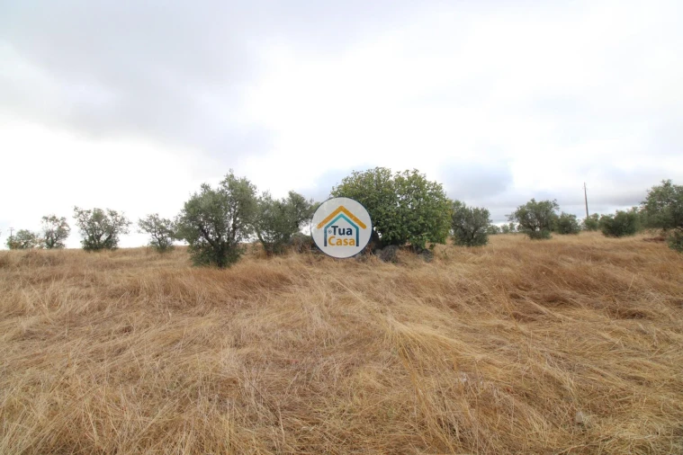 Terreno para Venda em Reguengos de Monsaraz Foto 26
