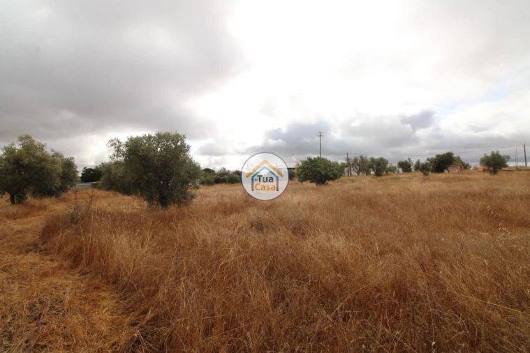 Terreno para Venda em Reguengos de Monsaraz Foto 30