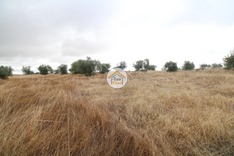 Terreno para Venda em Reguengos de Monsaraz Foto 24