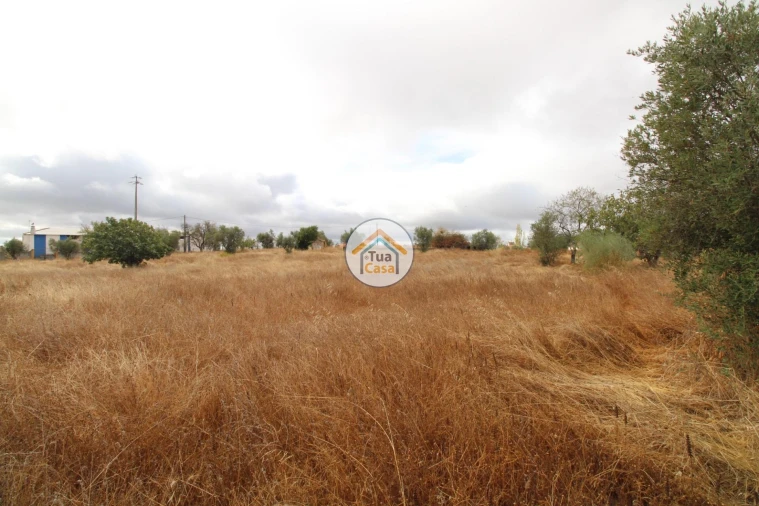 Terreno para Venda em Reguengos de Monsaraz Foto 31