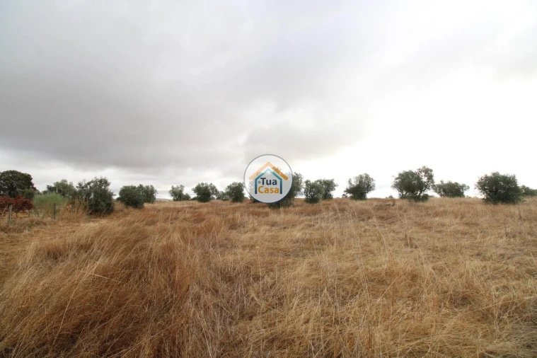 Terreno para Venda em Reguengos de Monsaraz Foto 23