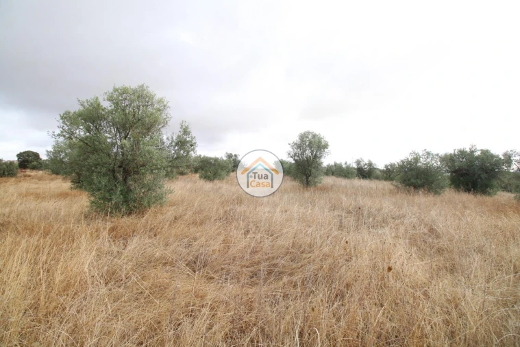 Terreno para Venda em Reguengos de Monsaraz Foto 21