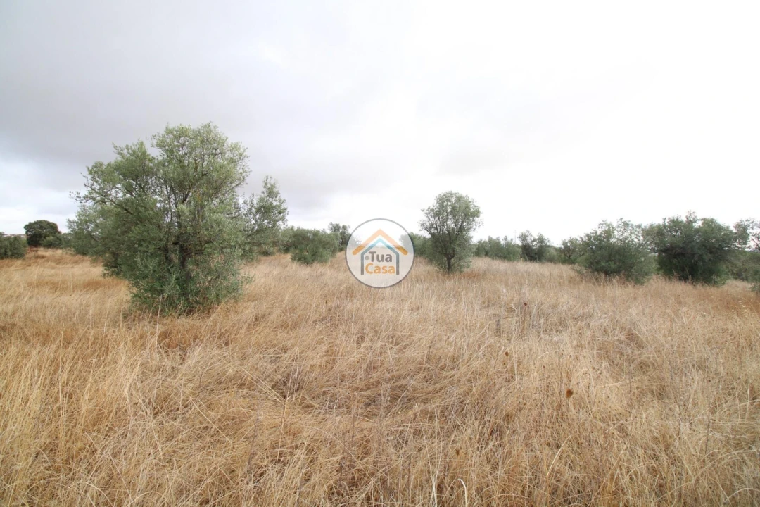 Terreno para Venda em Reguengos de Monsaraz Foto 21