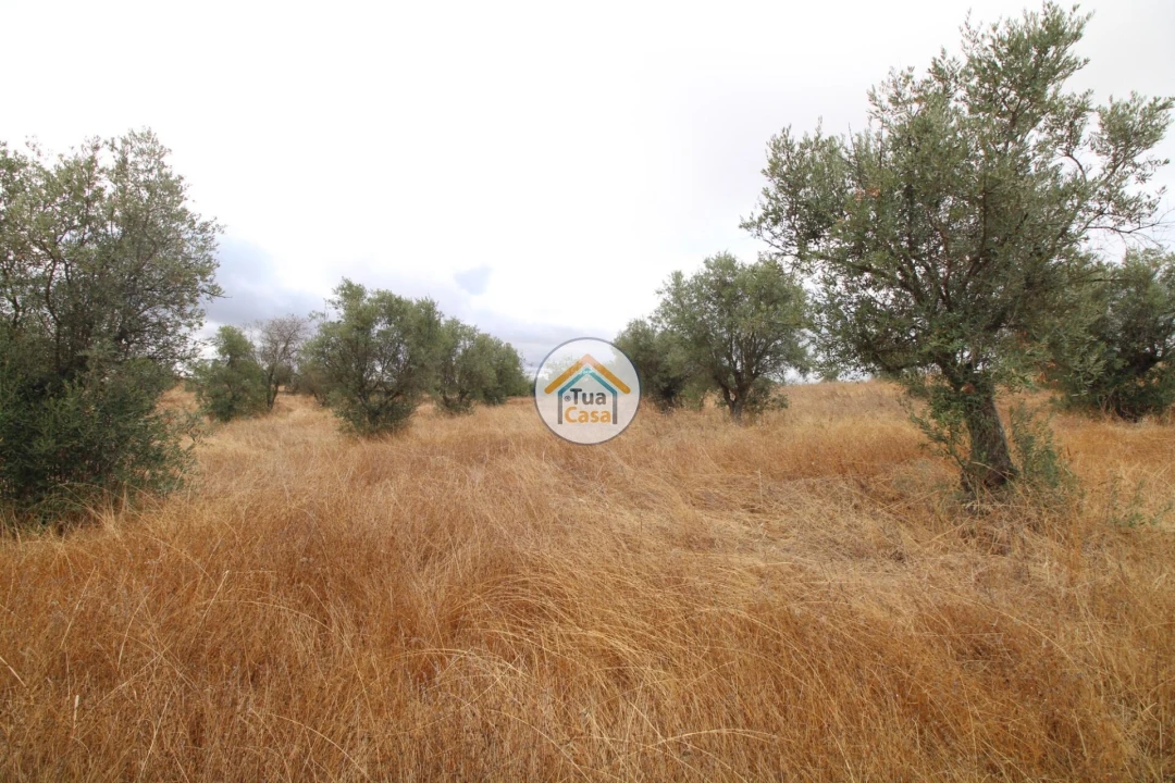 Terreno para Venda em Reguengos de Monsaraz Foto 28