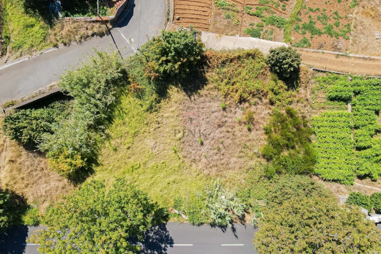 Moradia T3 para Venda em Fajã da Ovelha Foto 11