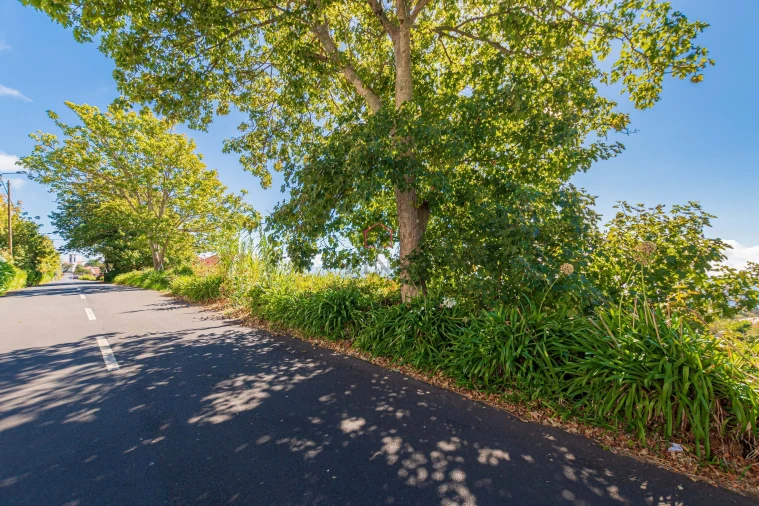 Moradia T3 para Venda em Fajã da Ovelha Foto 16