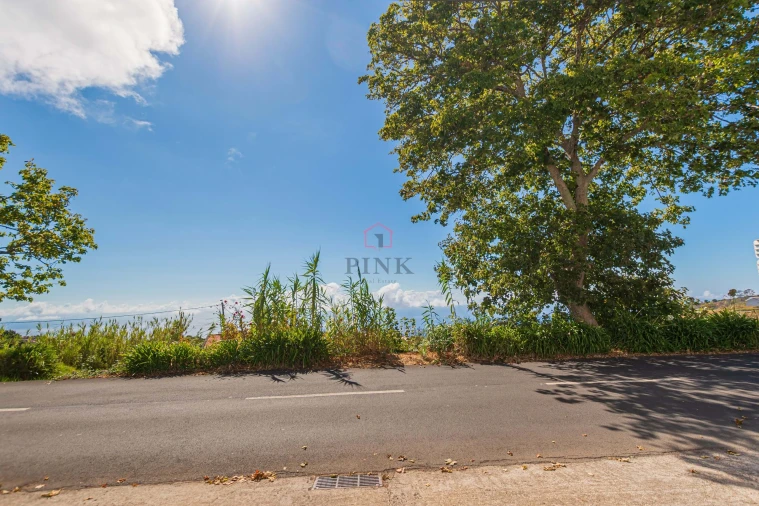 Moradia T3 para Venda em Fajã da Ovelha Foto 19