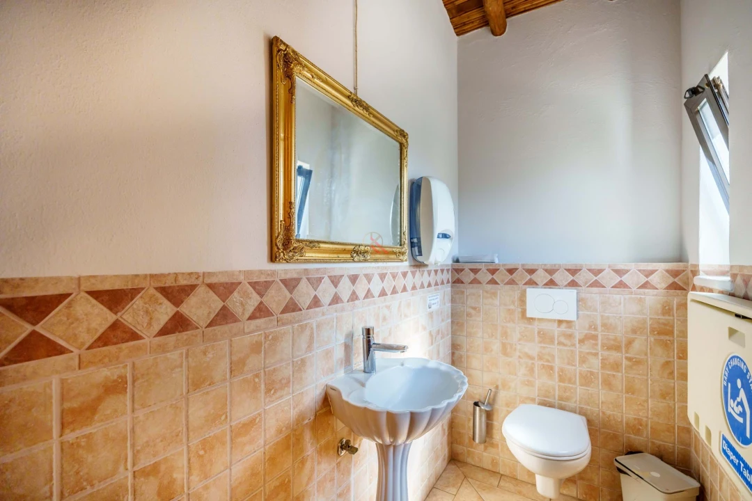 Negócio para Venda em Lagoa e Carvoeiro Foto 7