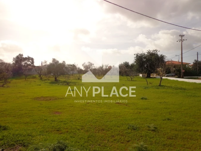 Terreno para Venda em Almancil Foto 2