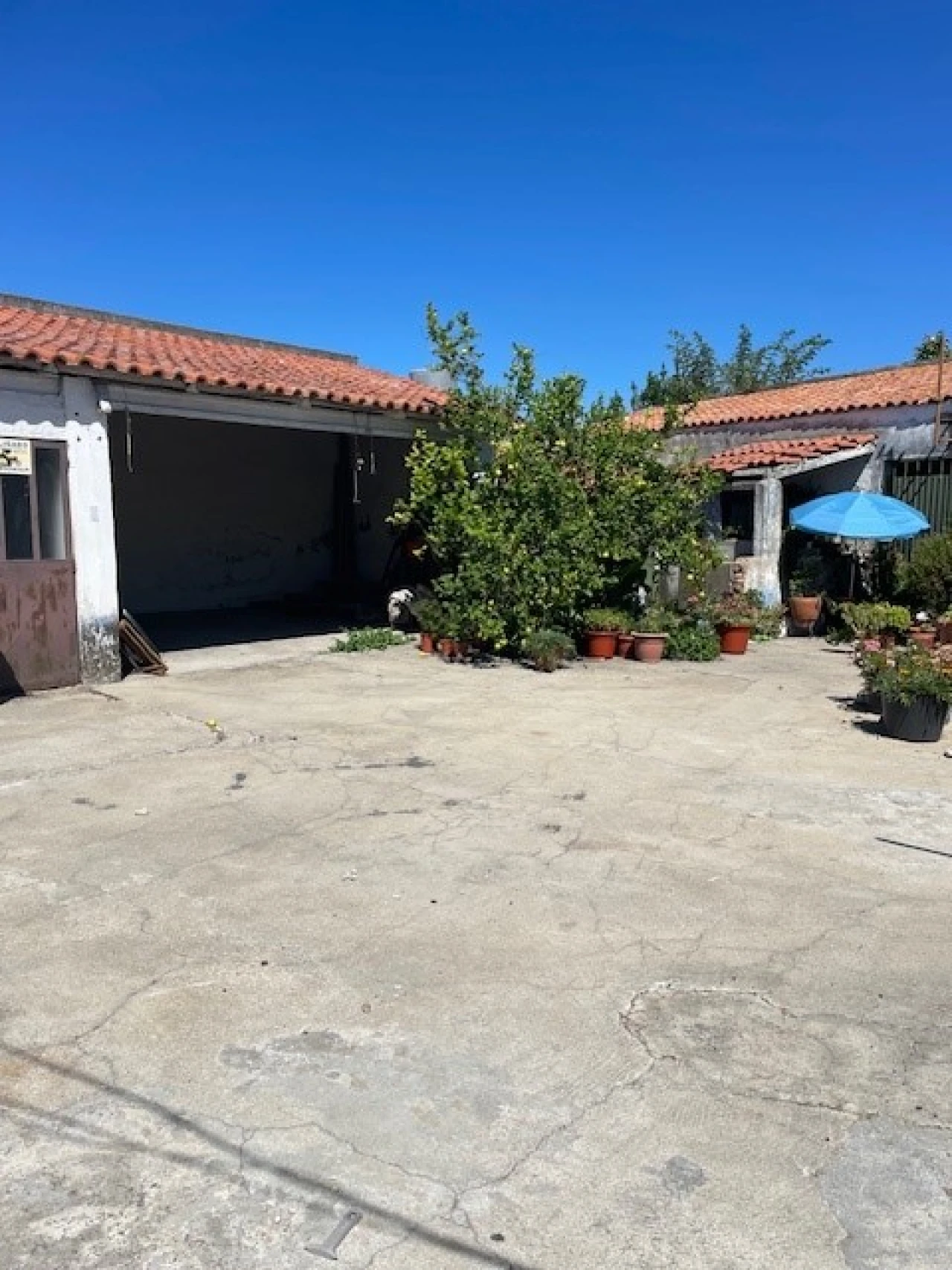 Negócio para Arrendamento em Ponte de Sor, Tramaga e Vale de Açor Foto 16