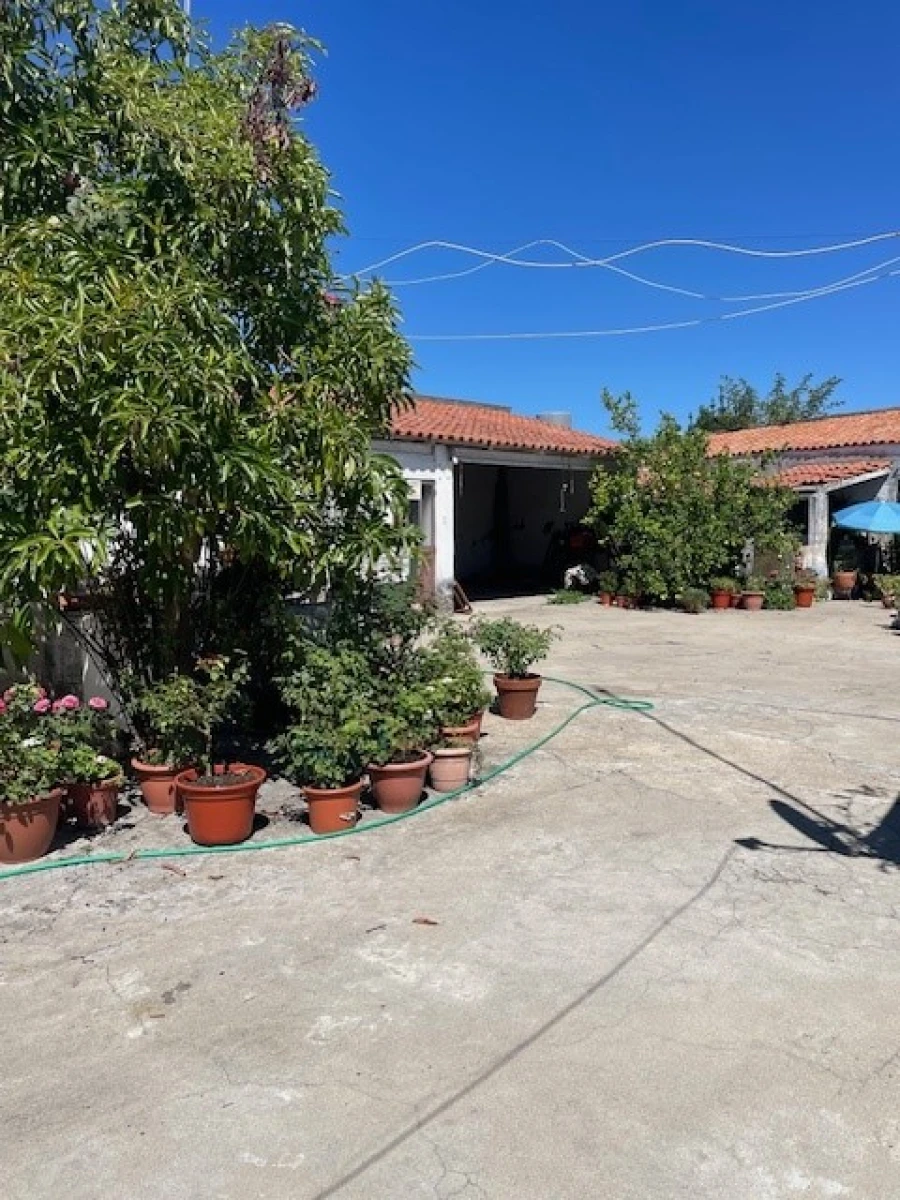 Negócio para Arrendamento em Ponte de Sor, Tramaga e Vale de Açor Foto 15