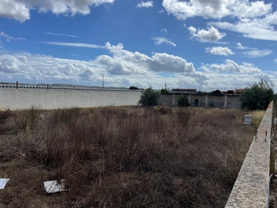 Terreno para Venda em Ponte de Sor, Tramaga e Vale de Açor Foto 3