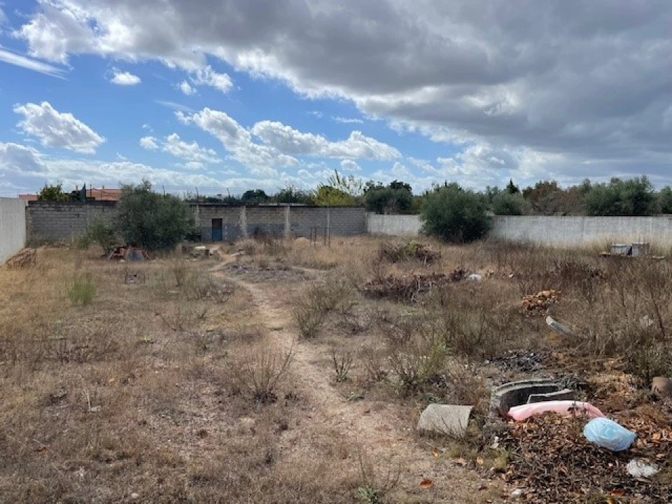 Terreno para Venda em Ponte de Sor, Tramaga e Vale de Açor Foto 4