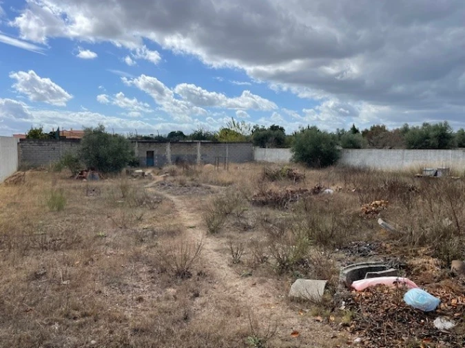 Terreno para Venda em Ponte de Sor, Tramaga e Vale de Açor Foto 4
