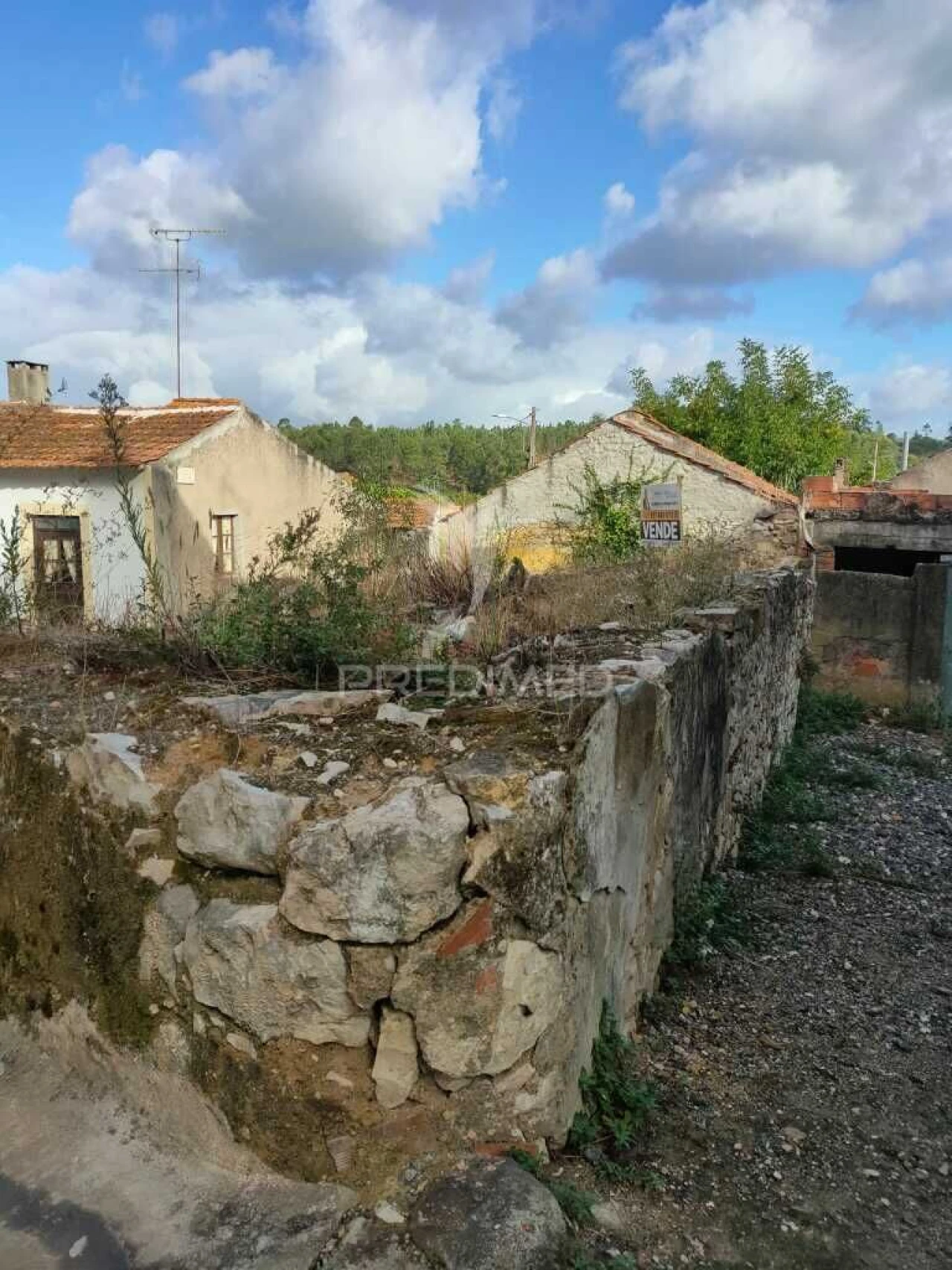 Quinta para Venda em Amiais de Baixo Foto 8