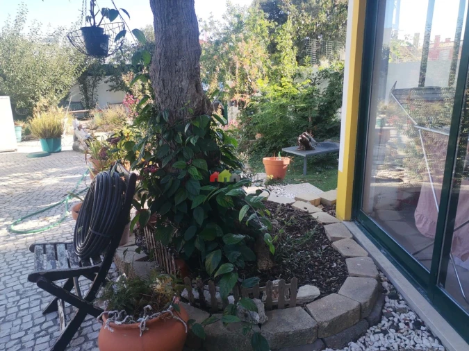 Moradia T4 para Venda em Gambia-Pontes-Alto da Guerra Foto 18