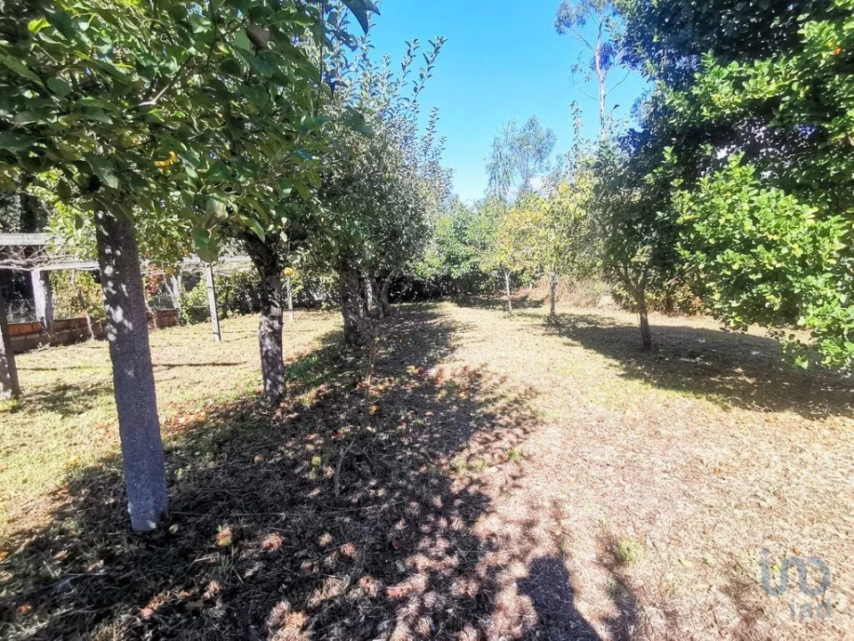 Terreno para Venda em Forjães Foto 7