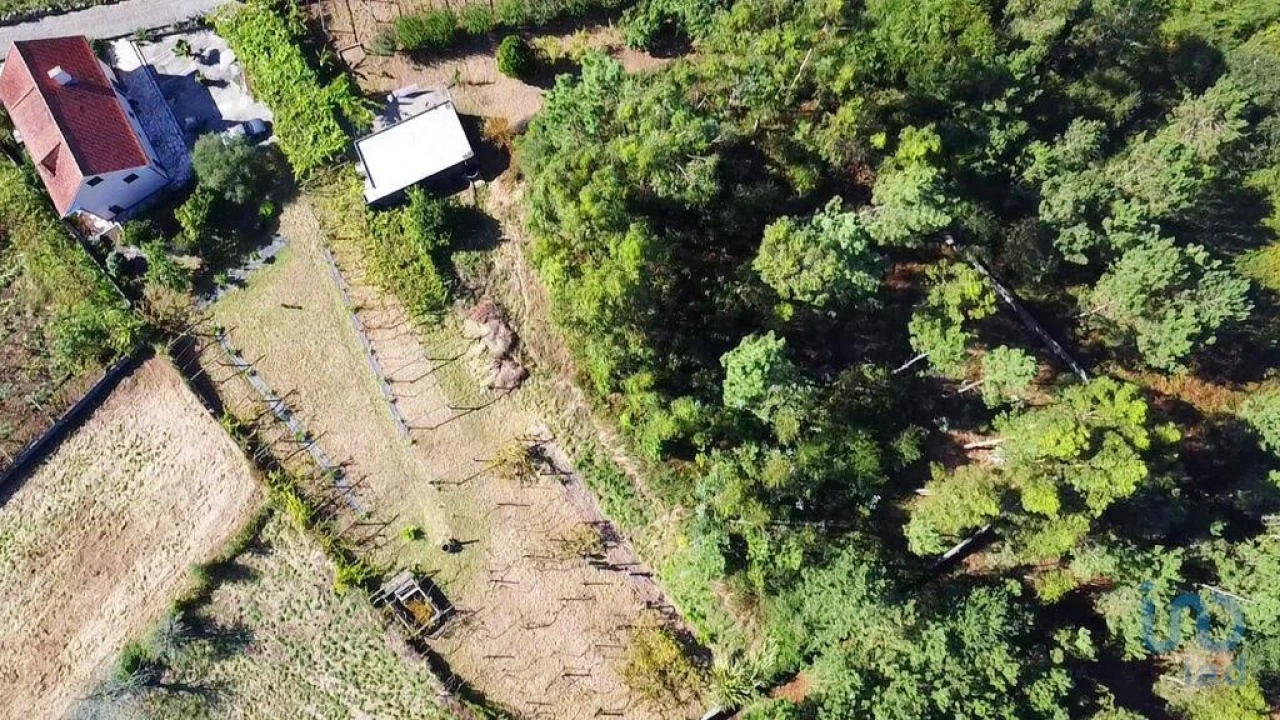 Terreno para Venda em Forjães Foto 4