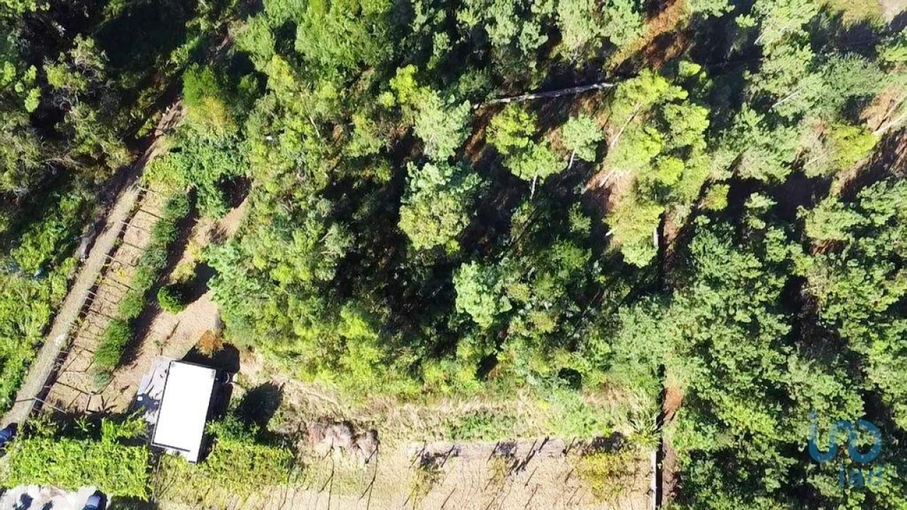 Terreno para Venda em Forjães Foto 2