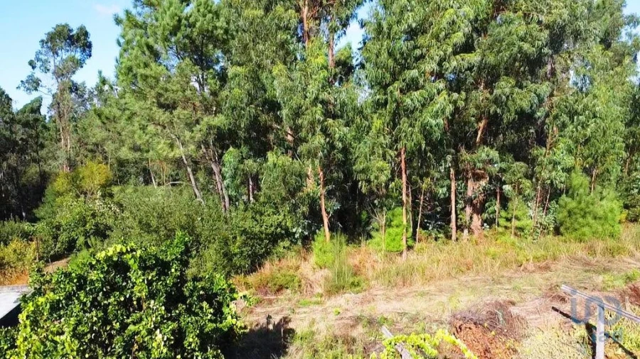 Terreno para Venda em Forjães Foto 5