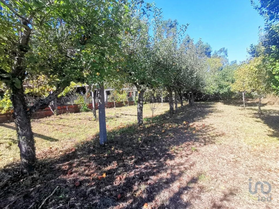 Terreno para Venda em Forjães Foto 6