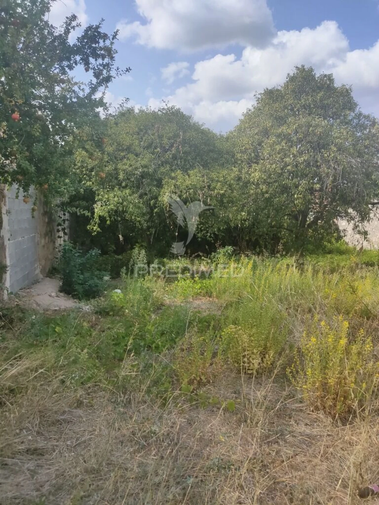 Terreno para Venda em Amiais de Baixo Foto 6