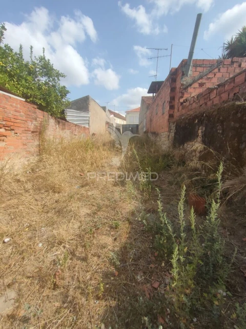 Terreno para Venda em Amiais de Baixo