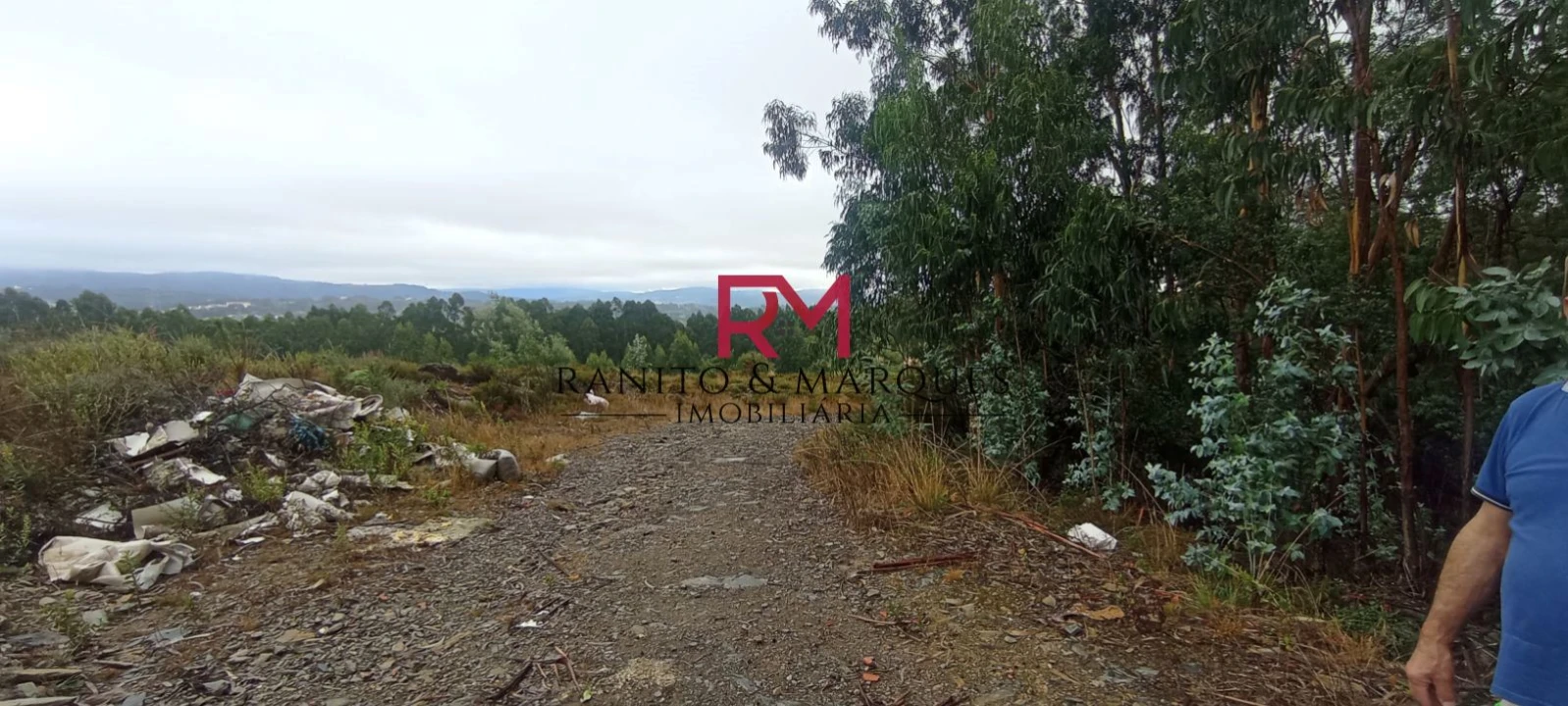 Terreno Agricola ou Rústico para Venda em Recarei Foto 6