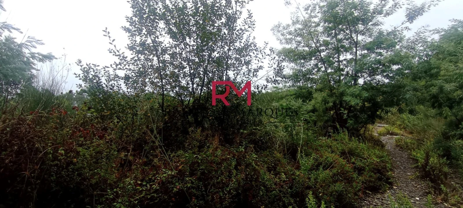 Terreno Agricola ou Rústico para Venda em Recarei Foto 7