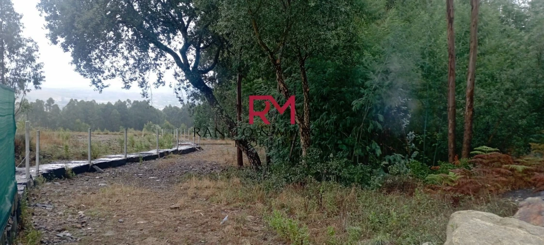 Terreno Agricola ou Rústico para Venda em Recarei Foto 3