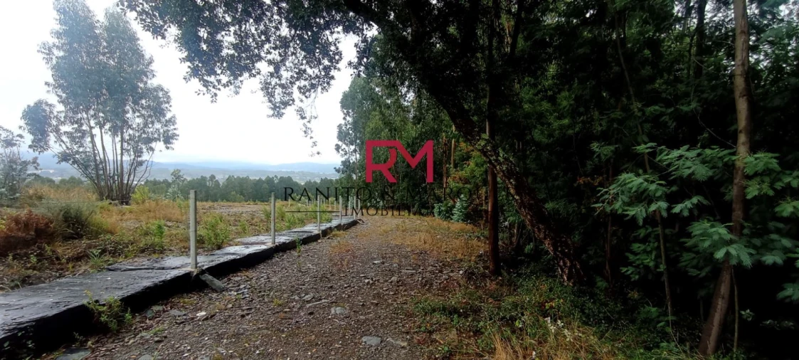 Terreno Agricola ou Rústico para Venda em Recarei Foto 5