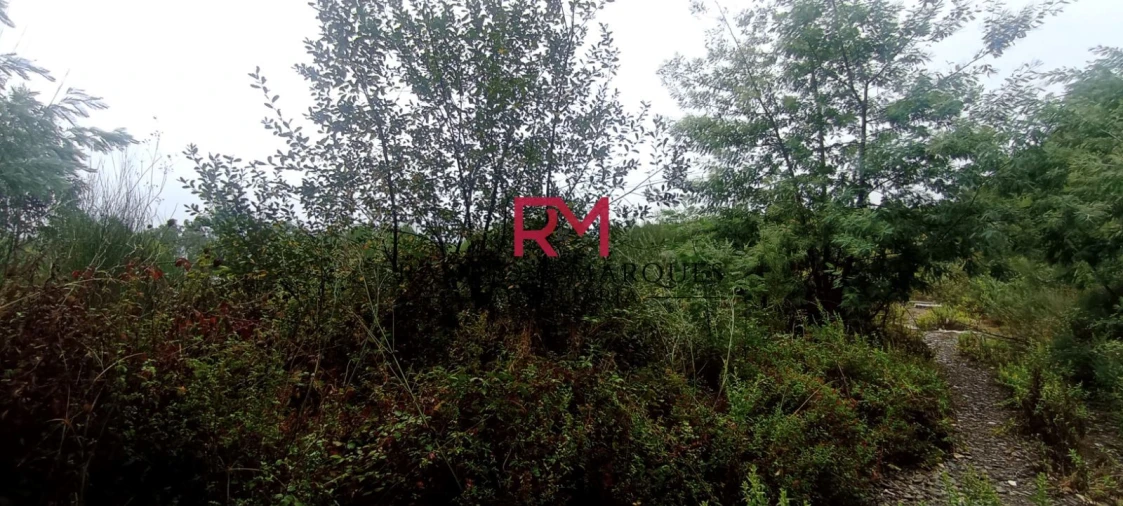 Terreno Agricola ou Rústico para Venda em Recarei Foto 7