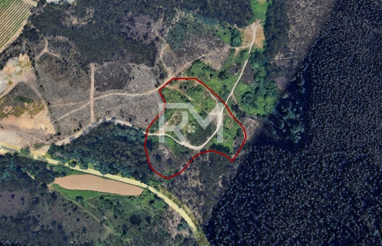 Terreno Agricola ou Rústico para Venda em Recarei Foto 11