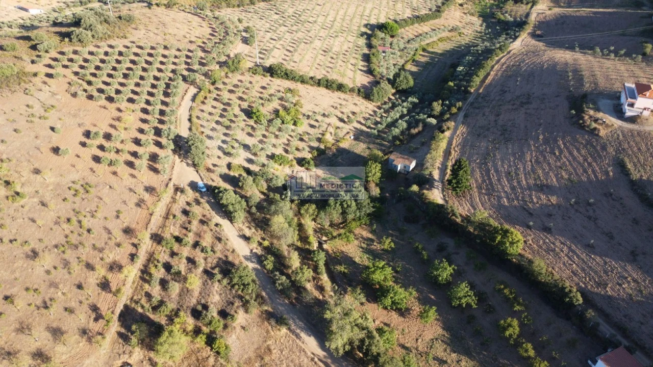 Quinta para Venda em Alfandega da Fe Foto 4