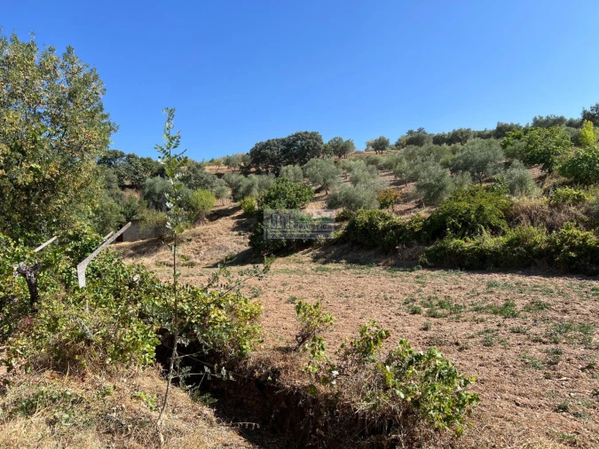 Quinta para Venda em Alfandega da Fe Foto 9